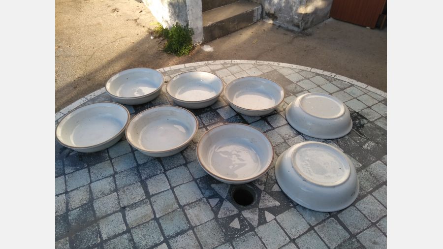 8 Malgas Pratos brancas