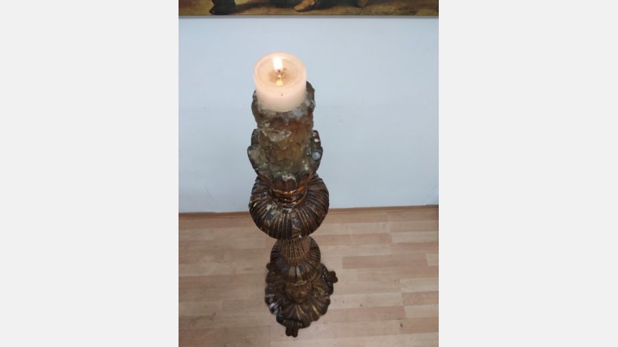 Tocheiro centenário