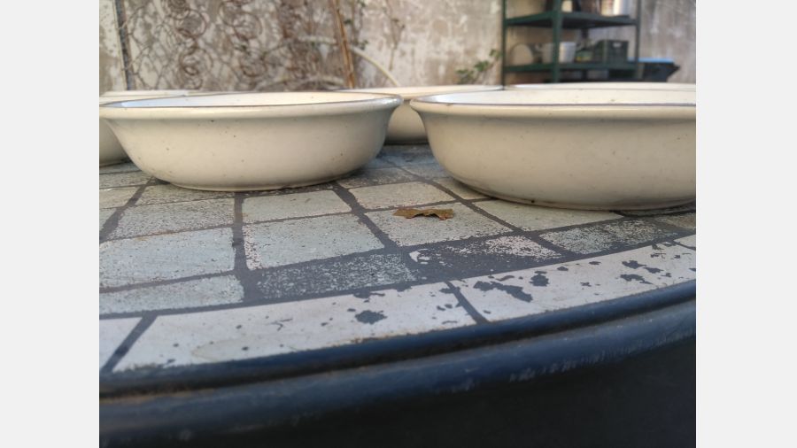 8 Malgas Pratos brancas